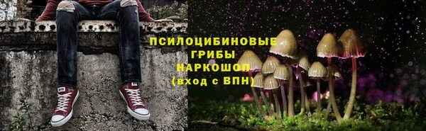 эйфоретик Алексеевка