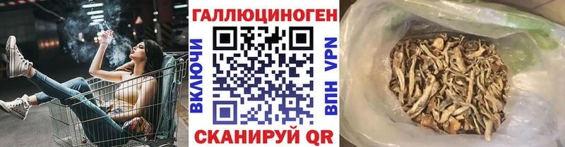 закладка  OMG ссылки  Галлюциногенные грибы прущие грибы  Десногорск 